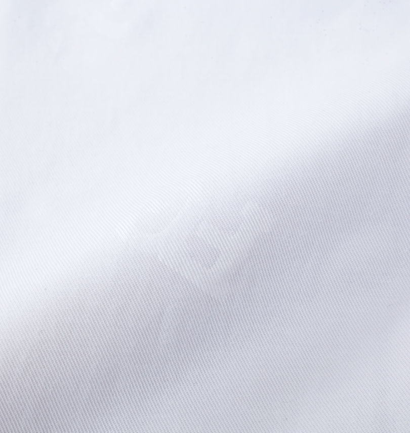 大きいサイズ メンズ FILA GOLF (フィラゴルフ) エンボスストレッチツイルハーフパンツ
生地拡大