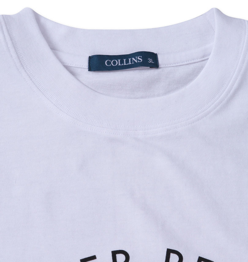 大きいサイズ メンズ COLLINS (コリンズ) メッシュボーダーノースリーブフルジップパーカー+半袖Tシャツ 