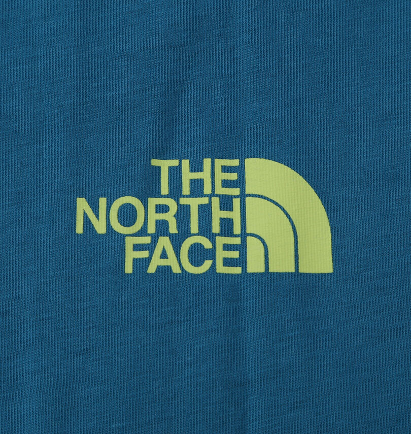 大きいサイズ メンズ THE NORTH FACE (ザ・ノース・フェイス) 半袖Tシャツ
                        プリント