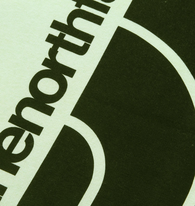 大きいサイズ メンズ THE NORTH FACE (ザ・ノース・フェイス) プルパーカー
                        プリント拡大