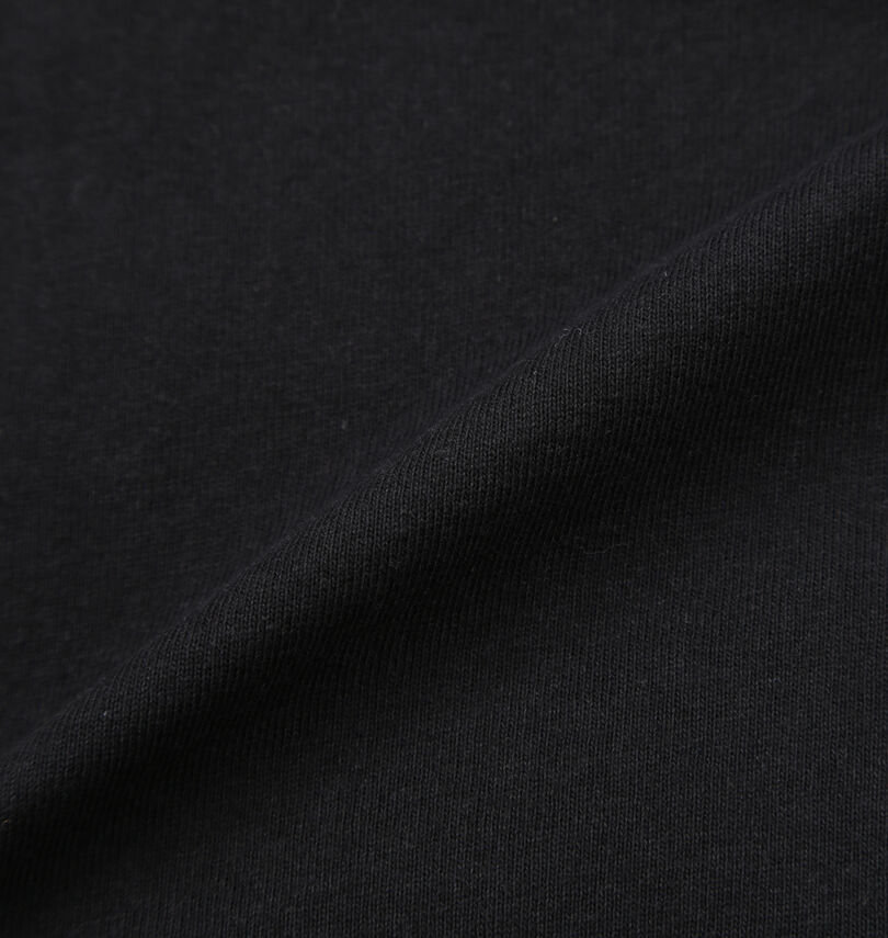 大きいサイズ メンズ DCSHOES×新日本プロレス (ディーシーシューズ×シンニホンプロレス) NJPW 長袖Tシャツ
                        生地拡大