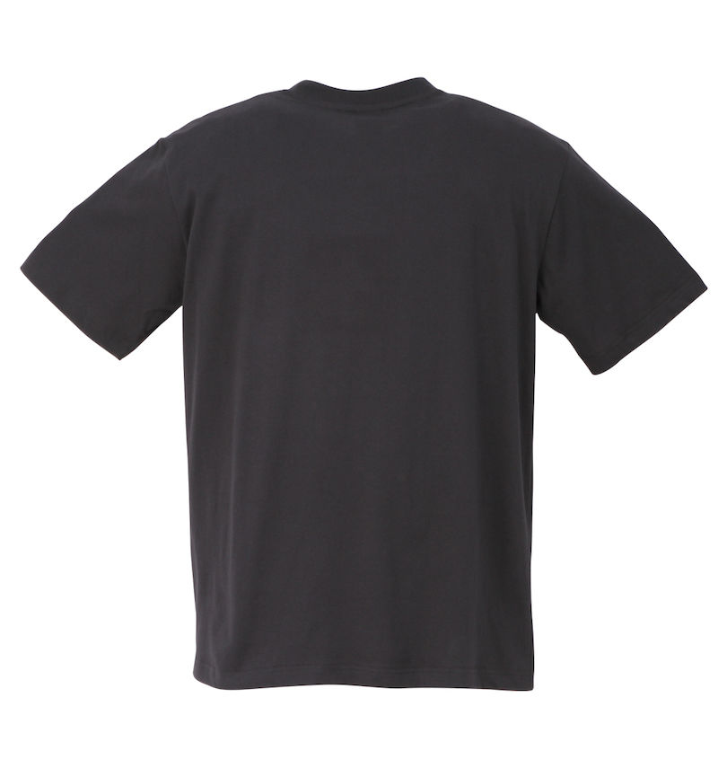 大きいサイズ メンズ LOGOS Park (ロゴスパーク) リサイクル天竺ボックスプリント半袖Tシャツ バックスタイル