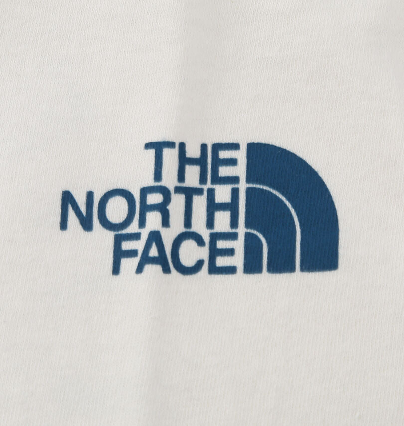 大きいサイズ メンズ THE NORTH FACE (ザ・ノース・フェイス) 半袖Tシャツ
                        プリント