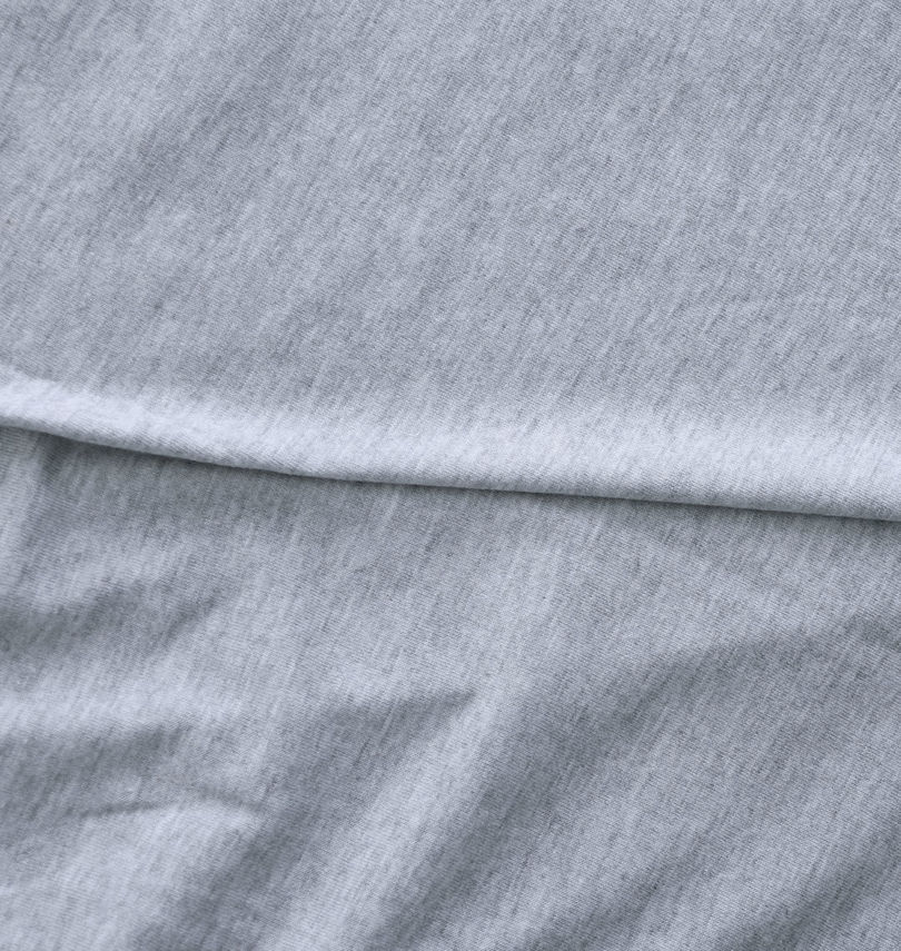 大きいサイズ メンズ HAPIDANBUI (ハピダンブイ) 胸ポケット付バックプリント半袖Tシャツ 生地拡大