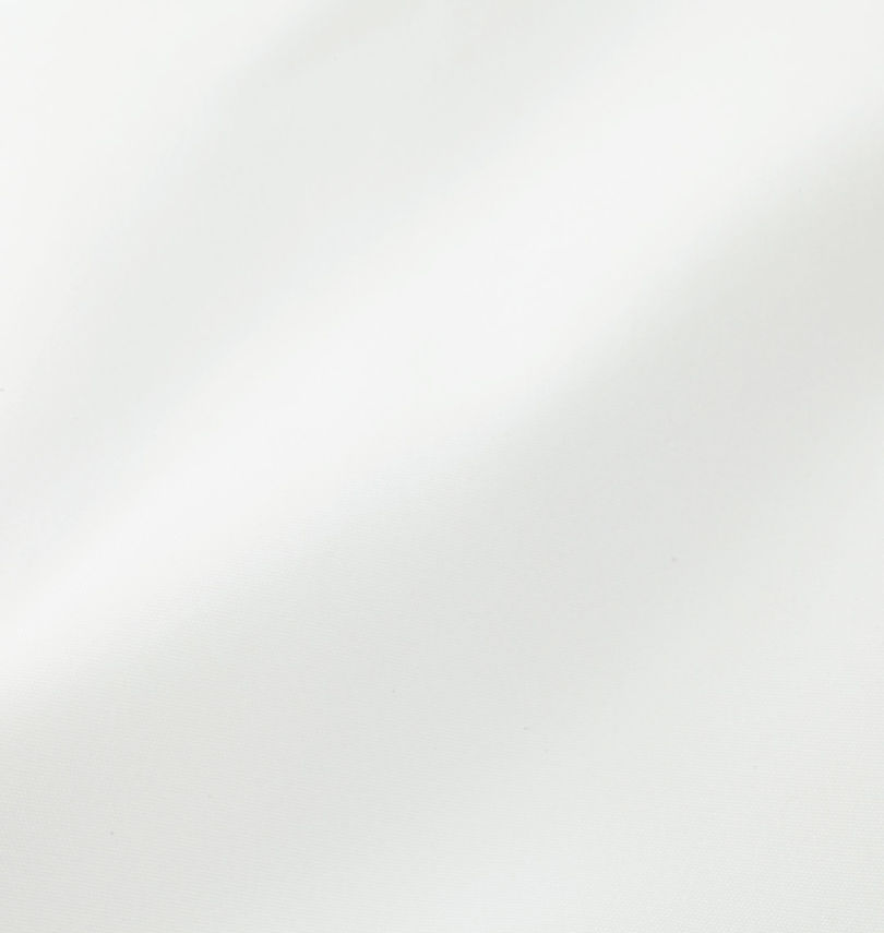 大きいサイズ メンズ FILA GOLF (フィラゴルフ) レインウェアセット
                        生地拡大