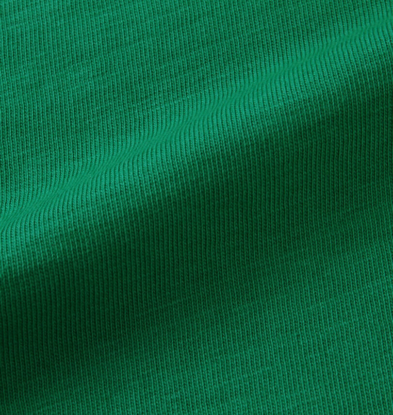 大きいサイズ メンズ RALPH LAUREN (ラルフローレン) 半袖Tシャツ
生地拡大
