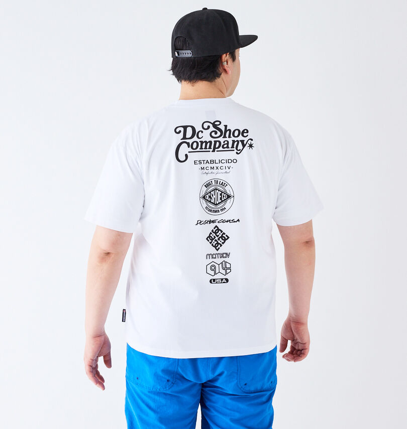 大きいサイズ メンズ DCSHOES (ディーシーシューズ) 24TECH JERSEY VARIOUS半袖Tシャツ
                        身長：182cm/バスト：123cm/着用サイズ：3L