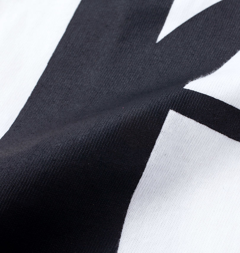 大きいサイズ メンズ Re:luxi (リラクシー) ビッグロゴ半袖Tシャツ
                        生地拡大