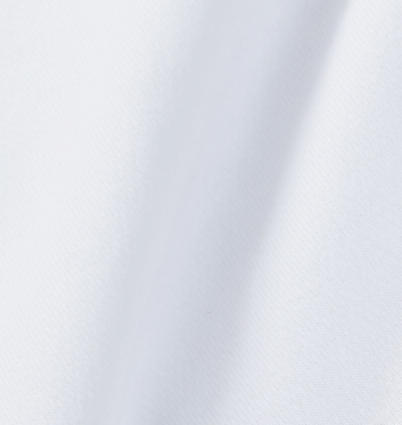 大きいサイズ メンズ ELEMENT (エレメント) DRY&HEAVY AUTHENTIC半袖Tシャツ
                        生地拡大