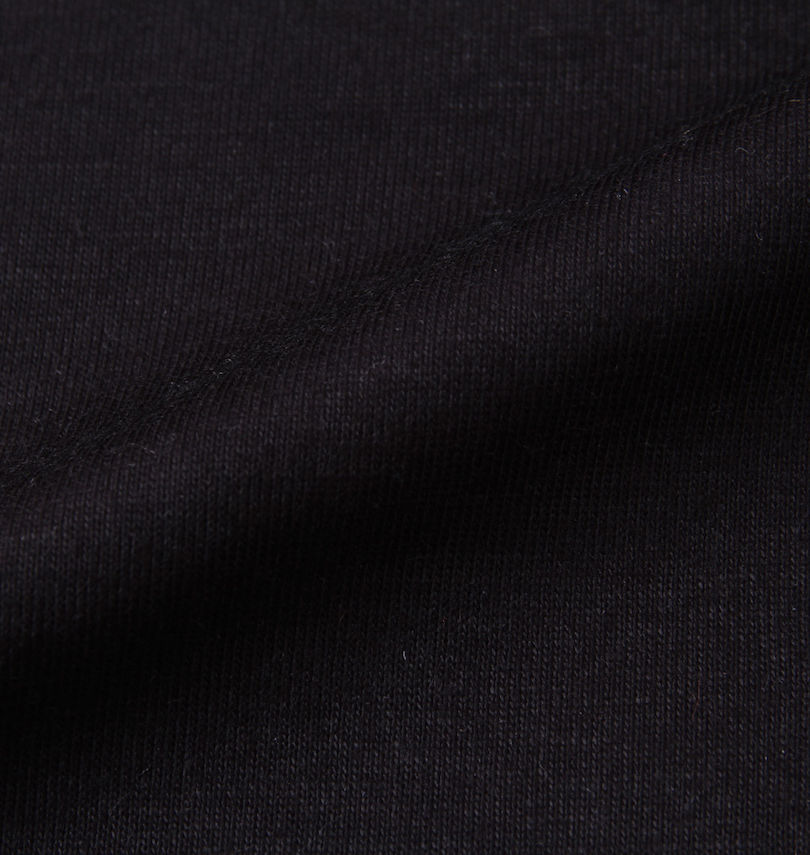 大きいサイズ メンズ PSYCHO NATION (サイコネーション) サイコベアジップ切替半袖Tシャツ 生地拡大
