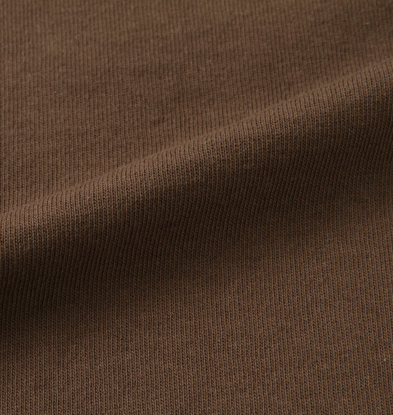 大きいサイズ メンズ DCSHOES (ディーシーシューズ) 23AUTHENTIC OBLIQUE LOGO長袖Tシャツ
生地拡大