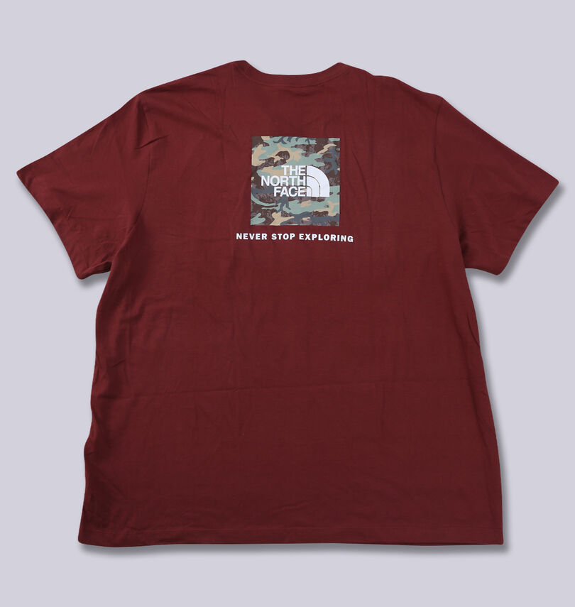大きいサイズ メンズ THE NORTH FACE (ザ・ノース・フェイス) 半袖Tシャツ
バックスタイル