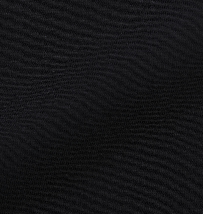 大きいサイズ メンズ BEN DAVIS (ベン デイビス) スーベニア刺繍半袖Tシャツ
                        生地拡大