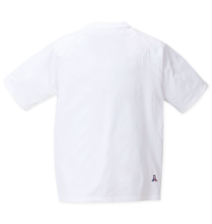 大きいサイズ メンズ LE COQ SPORTIF (ルコックスポルティフ) 半袖Tシャツ
バックスタイル