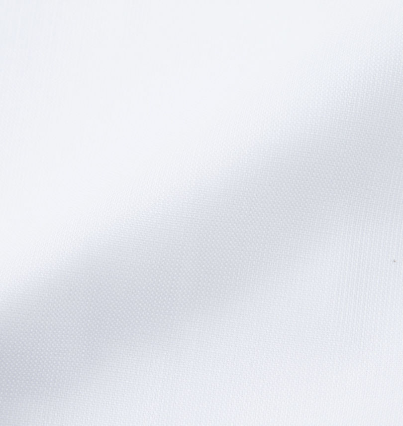 大きいサイズ メンズ Franco Rosati (フランコロサッティ) セミワイドカラー半袖シャツ 生地拡大