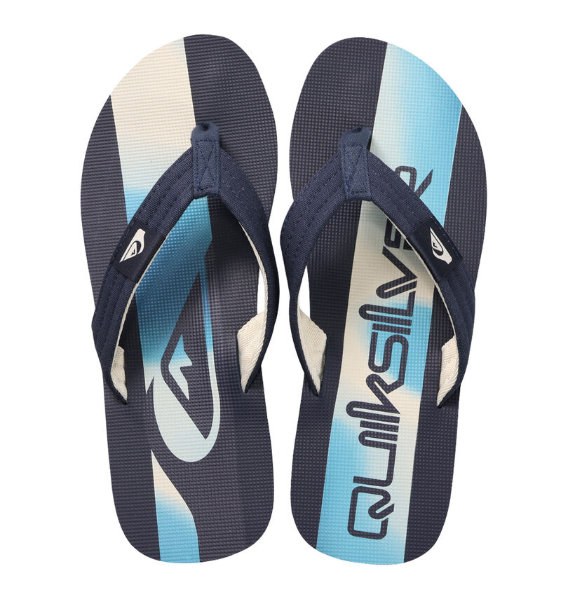 大きいサイズ メンズ Quiksilver (クイックシルバー) サンダル(MOLOKAI LAYBACK 26)
                        