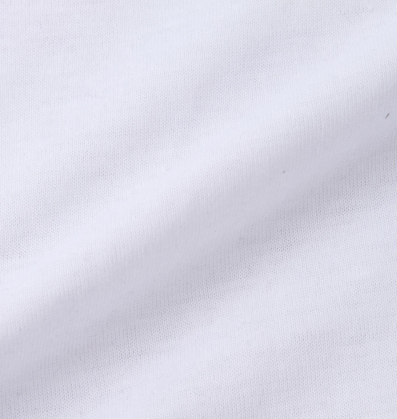 大きいサイズ メンズ PSYCHO NATION (サイコネーション) サイコベアジップ切替半袖Tシャツ 生地拡大