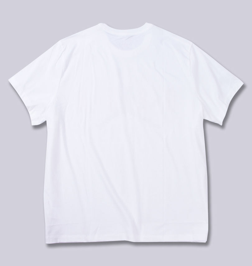 大きいサイズ メンズ JORDAN (エアジョーダン) 半袖Tシャツ
バックスタイル