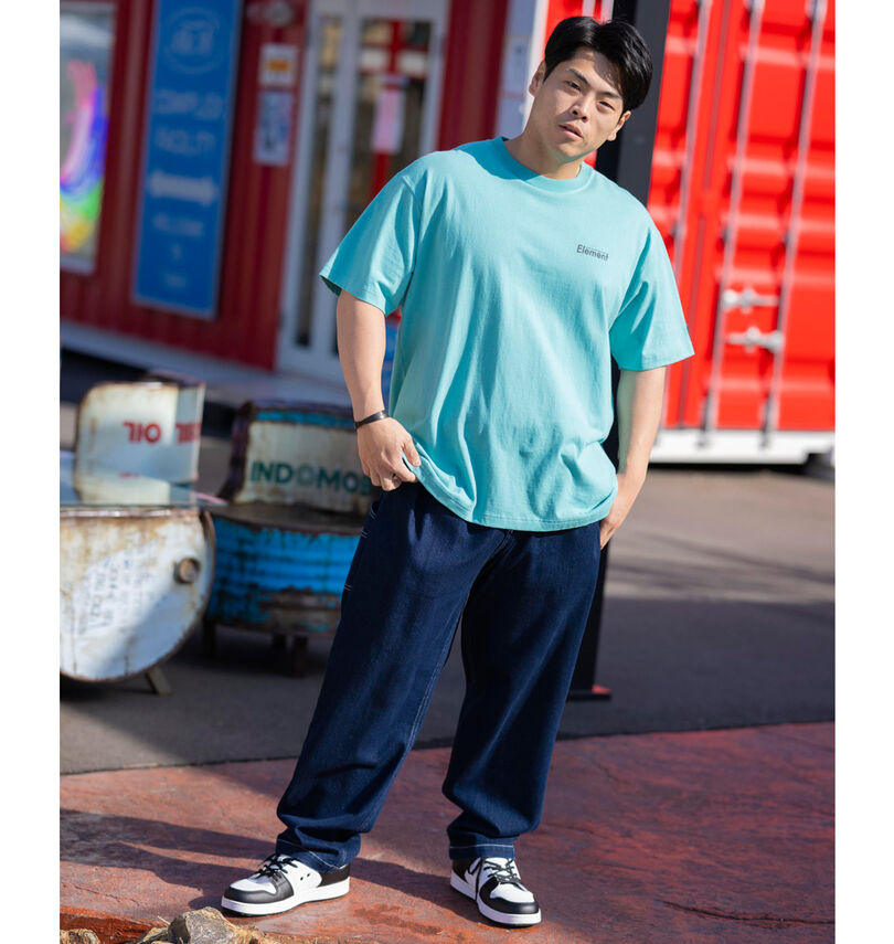 大きいサイズ メンズ ELEMENT (エレメント) SHODデニムペインターパンツ
                        