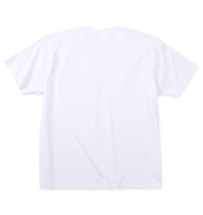 大きいサイズ メンズ DRAGON BALL (ドラゴンボール) 天竺亀仙人半袖Tシャツ
                        バックスタイル