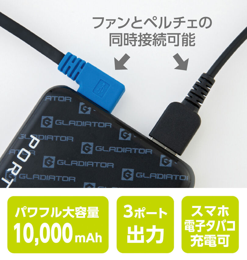 大きいサイズ メンズ GLADIATOR (グラディエーター) VOLTCOOL日傘遮熱ベストペルチェセット
                        