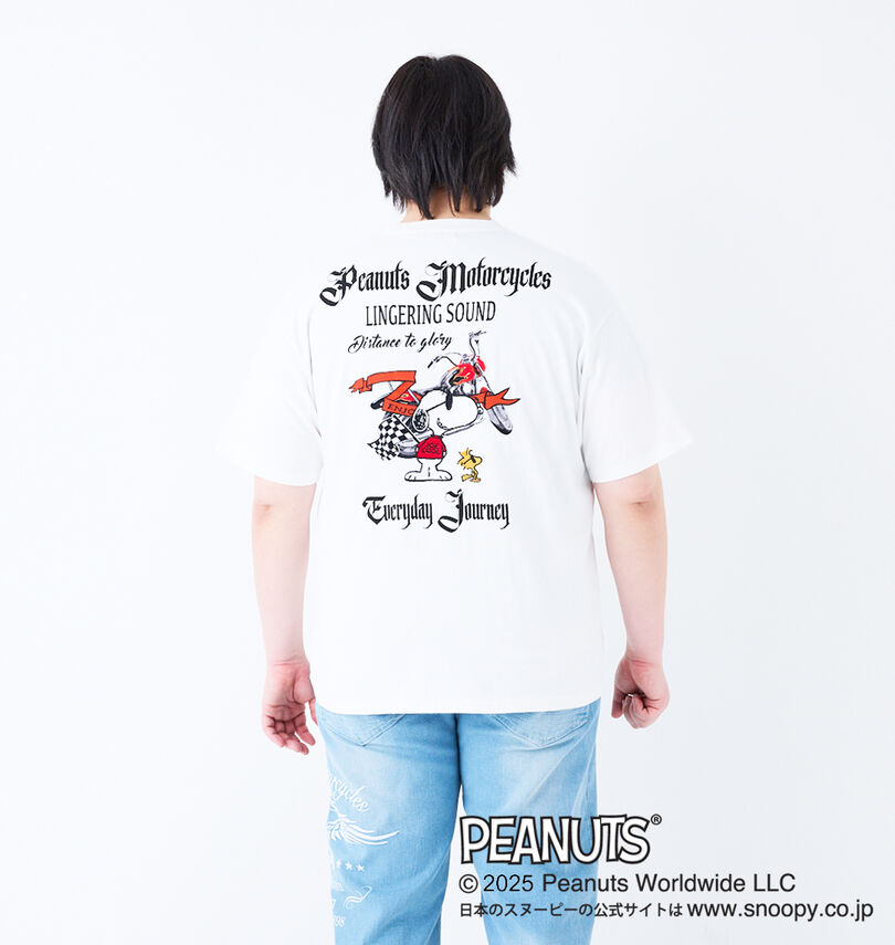 大きいサイズ メンズ FLAGSTAFF×PEANUTS (フラッグスタッフ) スヌーピーコラボ半袖Tシャツ
                        身長：182cm/バスト：123cm/着用サイズ：3L