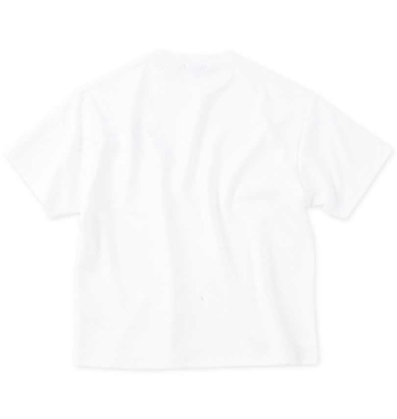 大きいサイズ メンズ in the attic (インジアティック) 刺繍ロゴジャガード半袖Tシャツ バックスタイル