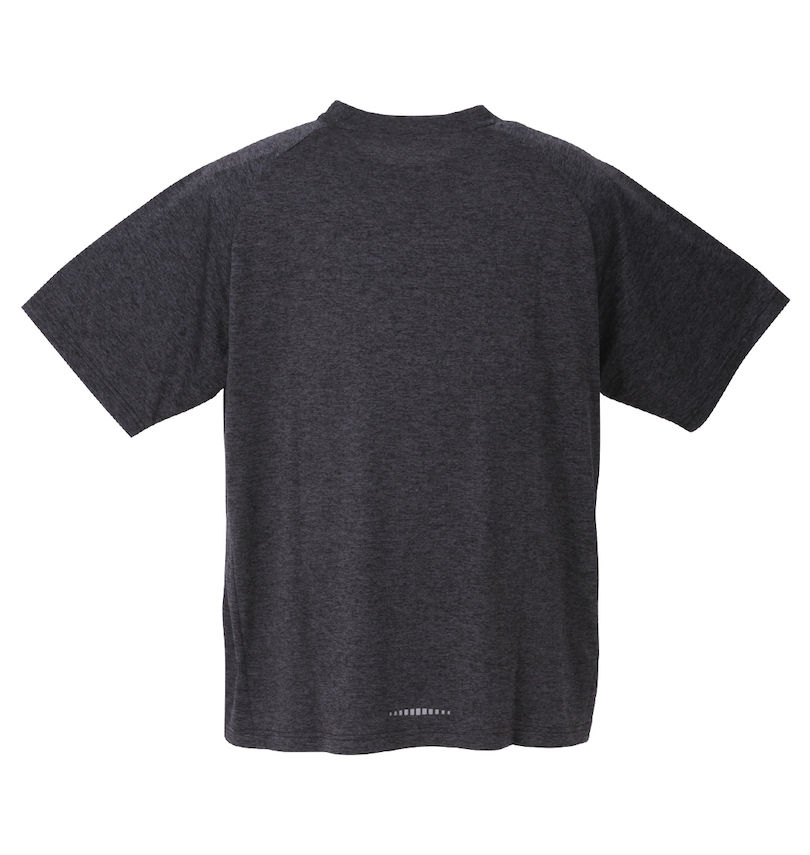 大きいサイズ メンズ Phiten (ファイテン) DRY杢×メッシュ半袖Tシャツ バックスタイル