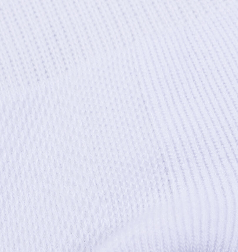 大きいサイズ メンズ Phiten (ファイテン) 2Pアンクルスポーツソックス
                        生地拡大