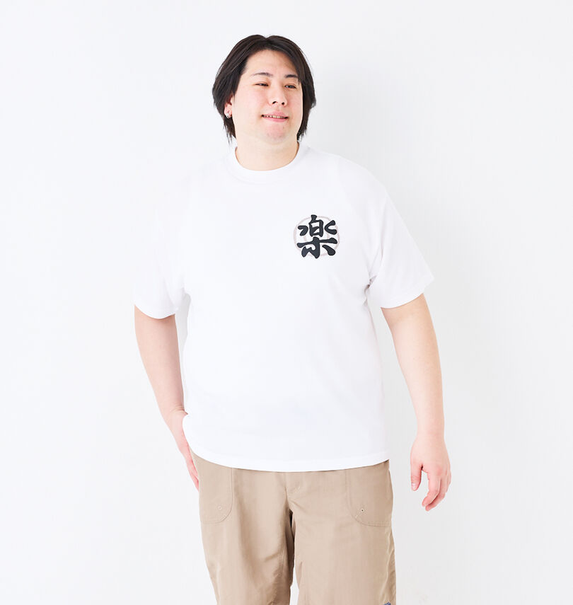 大きいサイズ メンズ 豊天 (ブーデン) 楽DRYハニカムメッシュ半袖Tシャツ
                        