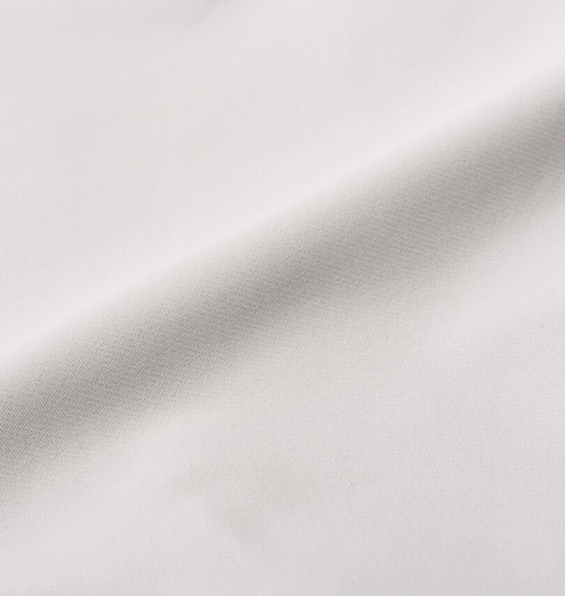 大きいサイズ メンズ LE COQ SPORTIF GOLF (ルコックスポルティフ　ゴルフ) キープクリーンショートパンツ
                        生地拡大