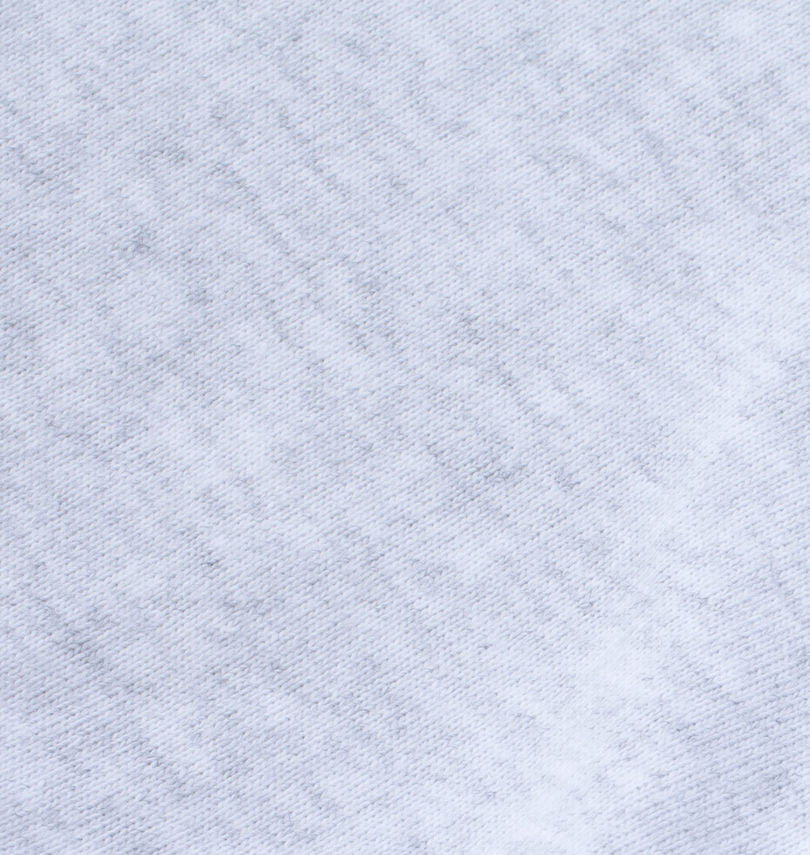 大きいサイズ メンズ BEN DAVIS (ベン デイビス) フロッキーロゴ半袖Tシャツ 生地拡大