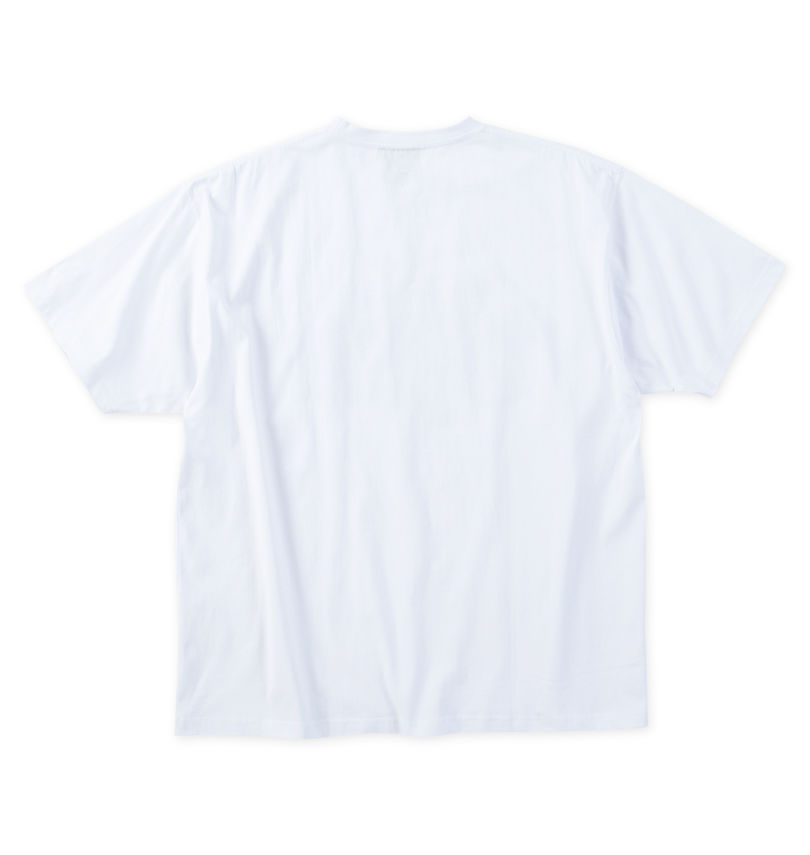 大きいサイズ メンズ THRASHER (スラッシャー) Dragon半袖Tシャツ
                        バックスタイル