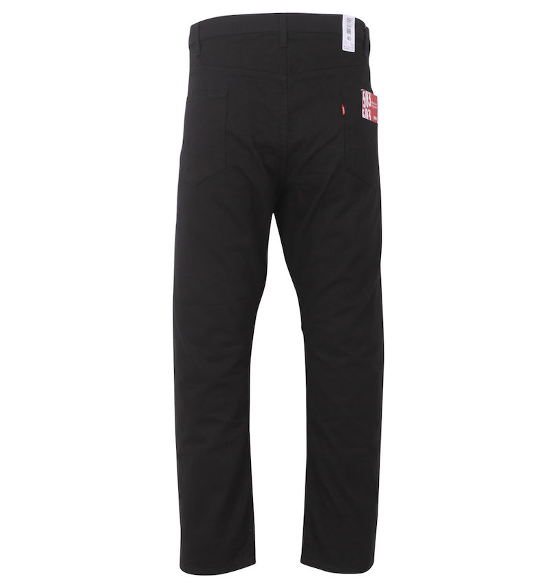 大きいサイズ メンズ EDWIN (エドウイン) 503レギュラーストレートデニムパンツ
                        バックスタイル