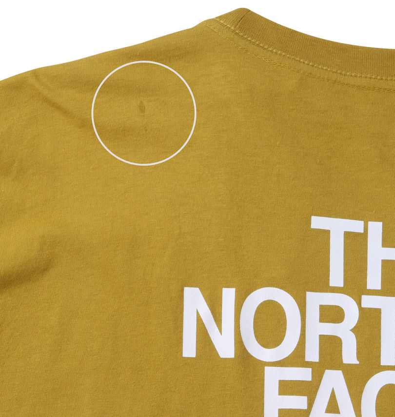 大きいサイズ メンズ THE NORTH FACE (ザ・ノース・フェイス) 半袖Tシャツ キズの画像
