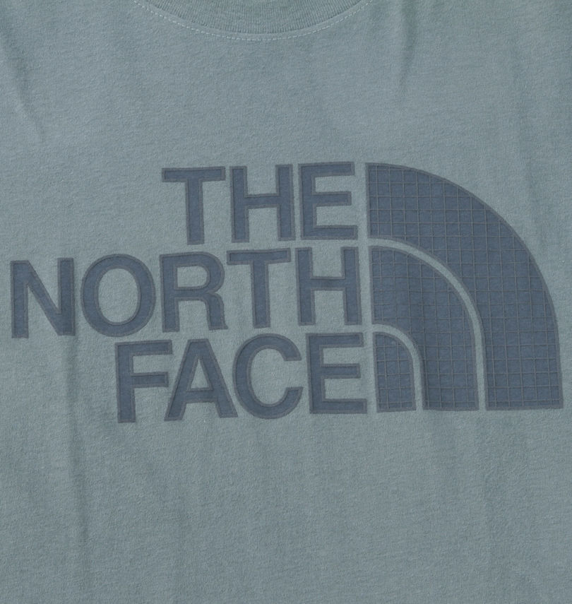 大きいサイズ メンズ THE NORTH FACE (ザ・ノース・フェイス) 半袖Tシャツ プリント