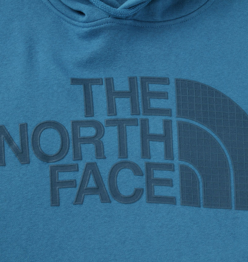 大きいサイズ メンズ THE NORTH FACE (ザ・ノース・フェイス) プルパーカー
                        