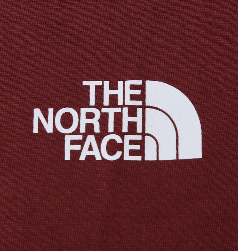 大きいサイズ メンズ THE NORTH FACE (ザ・ノース・フェイス) 半袖Tシャツ
プリント