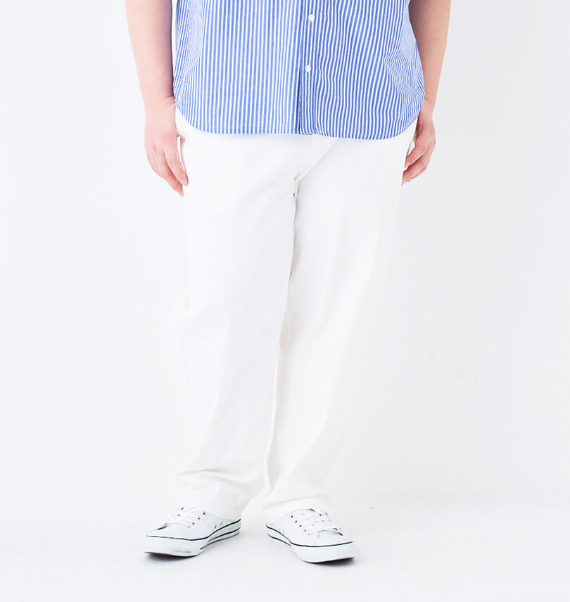 大きいサイズ メンズ DCSHOES (ディーシーシューズ) 24 WIDEパンツ
                        身長：182cm/ウエスト：114cm/着用サイズ：3L