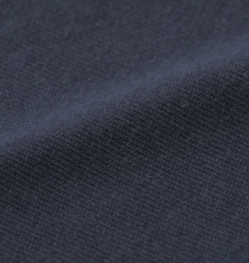 大きいサイズ メンズ DICKIES (ディッキーズ) DICKIESテキストロゴ半袖Tシャツ
                        生地拡大