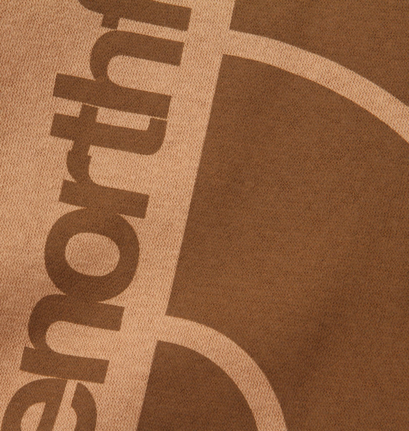 大きいサイズ メンズ THE NORTH FACE (ザ・ノース・フェイス) プルパーカー
                        プリント拡大