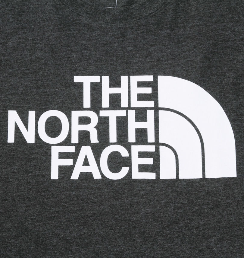 大きいサイズ メンズ THE NORTH FACE (ザ・ノース・フェイス) 半袖Tシャツ プリント