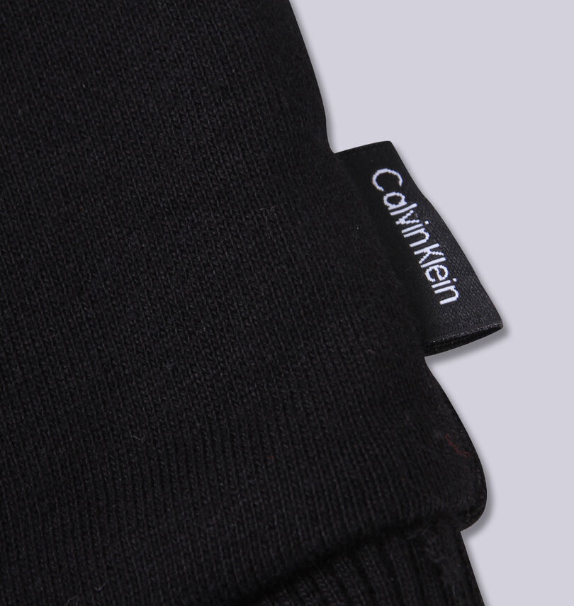 大きいサイズ メンズ CALVIN KLEIN (カルバンクライン) クルートレーナー
                        裾ピスネーム