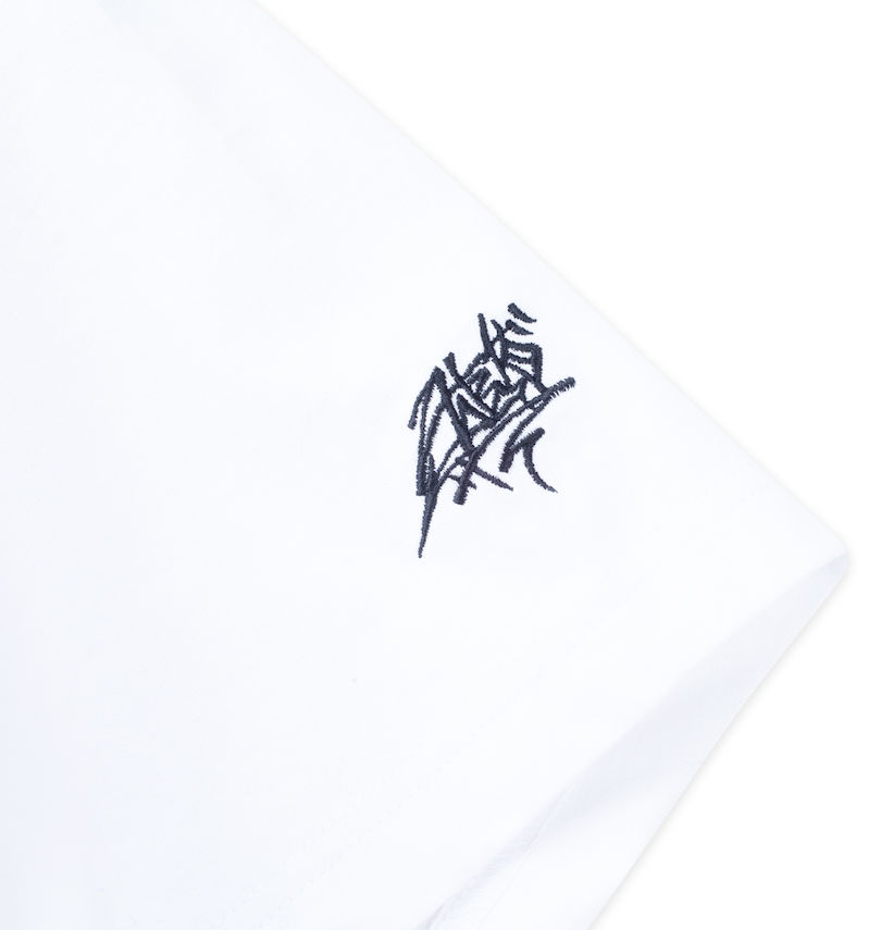 大きいサイズ メンズ DCSHOES (ディーシーシューズ) 24 TAKEEE8 GRAFF FT半袖Tシャツ
袖刺繍