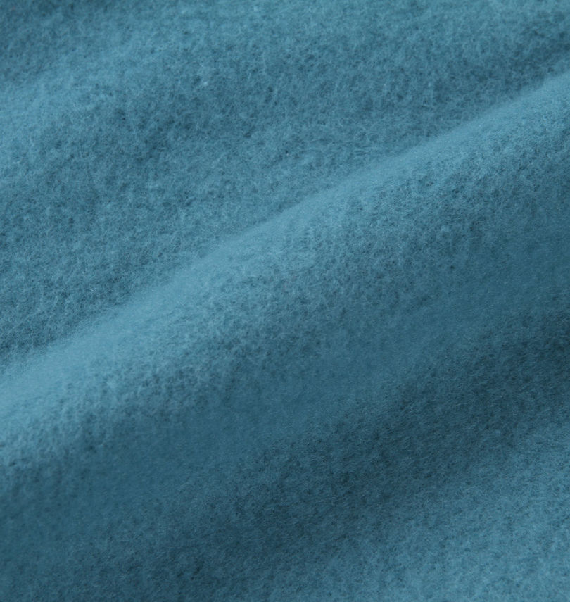 大きいサイズ メンズ THE NORTH FACE (ザ・ノース・フェイス) プルパーカー
                        裏起毛