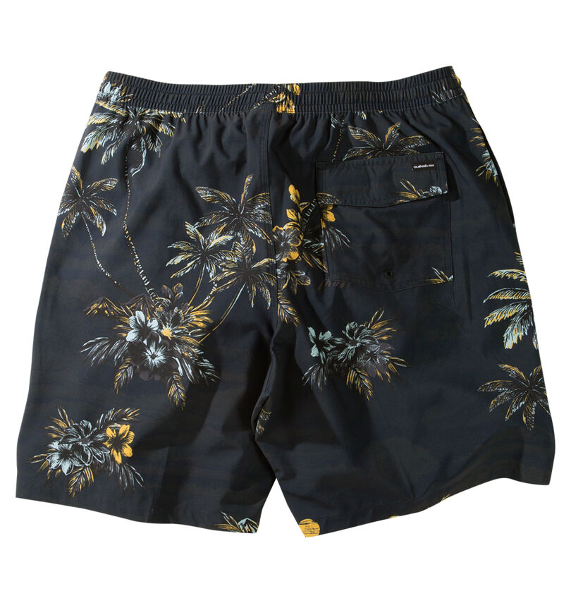 大きいサイズ メンズ Quiksilver (クイックシルバー) SUNDOWN VOLLEY 20NS水陸両用ショーツ
バックスタイル