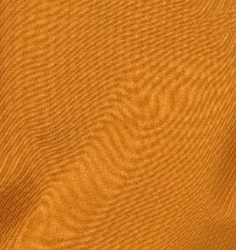大きいサイズ メンズ THE NORTH FACE (ザ・ノース・フェイス) トリクラメイト 3WAYジャケット
                        生地拡大