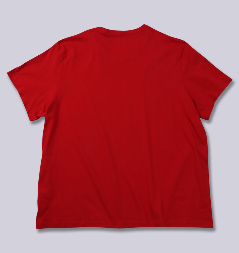 大きいサイズ メンズ JORDAN (エアジョーダン) 半袖Tシャツ
バックスタイル