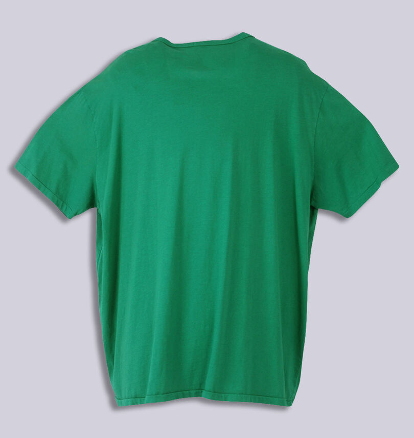 大きいサイズ メンズ RALPH LAUREN (ラルフローレン) 半袖Tシャツ
バックスタイル