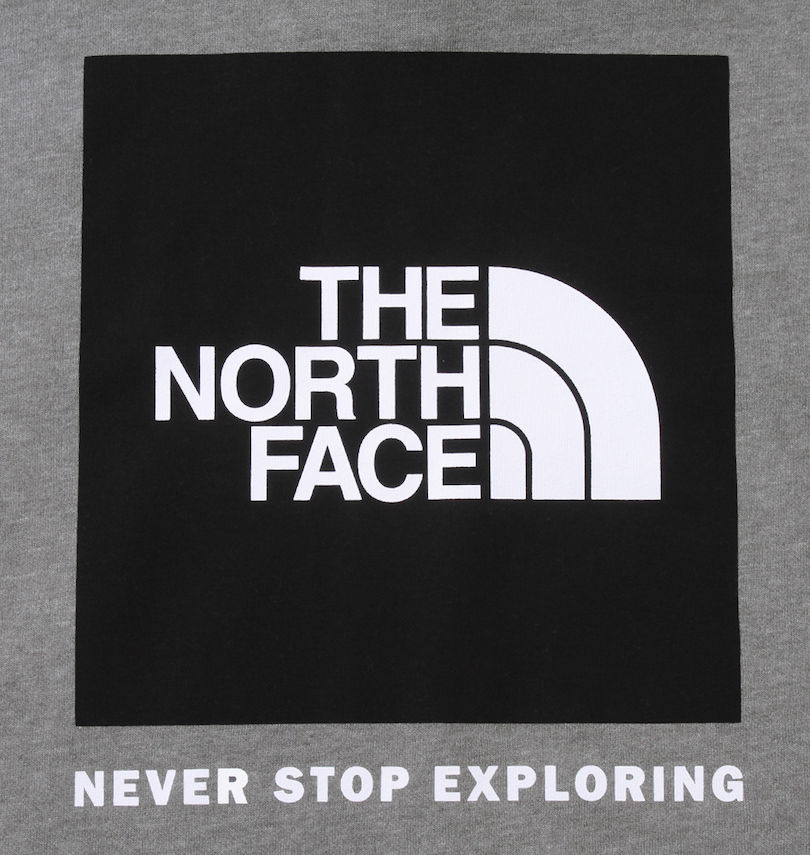 大きいサイズ メンズ THE NORTH FACE (ザ・ノース・フェイス) プルパーカー
バックプリント